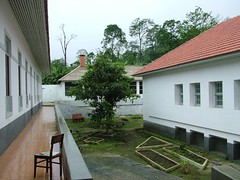 "DSCF4479"